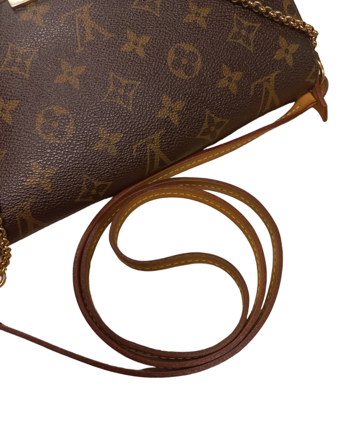 Louis Vuitton Favorite Monogram MM