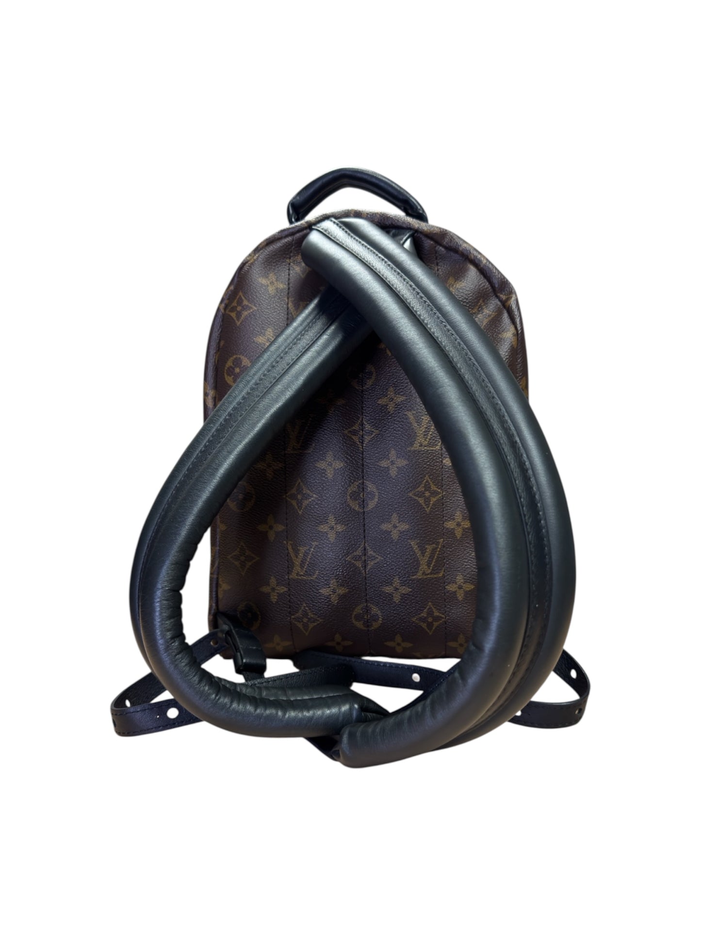 Louis Vuitton Palm Springs PM Backpack