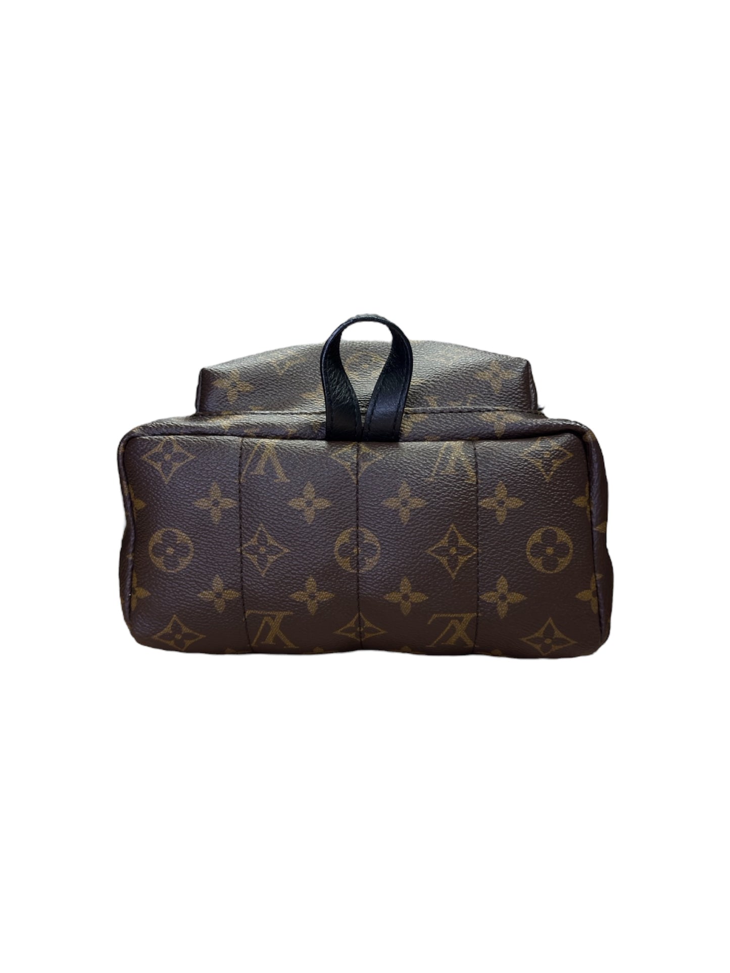 Louis Vuitton Palm Springs PM Backpack