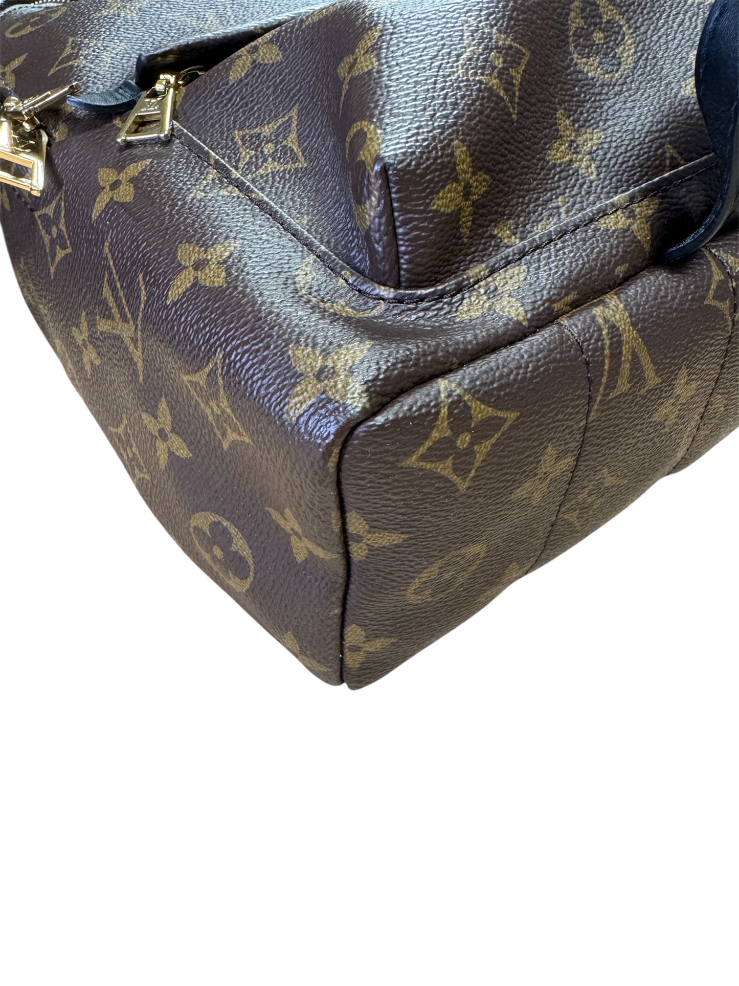 Louis Vuitton Palm Springs PM Backpack