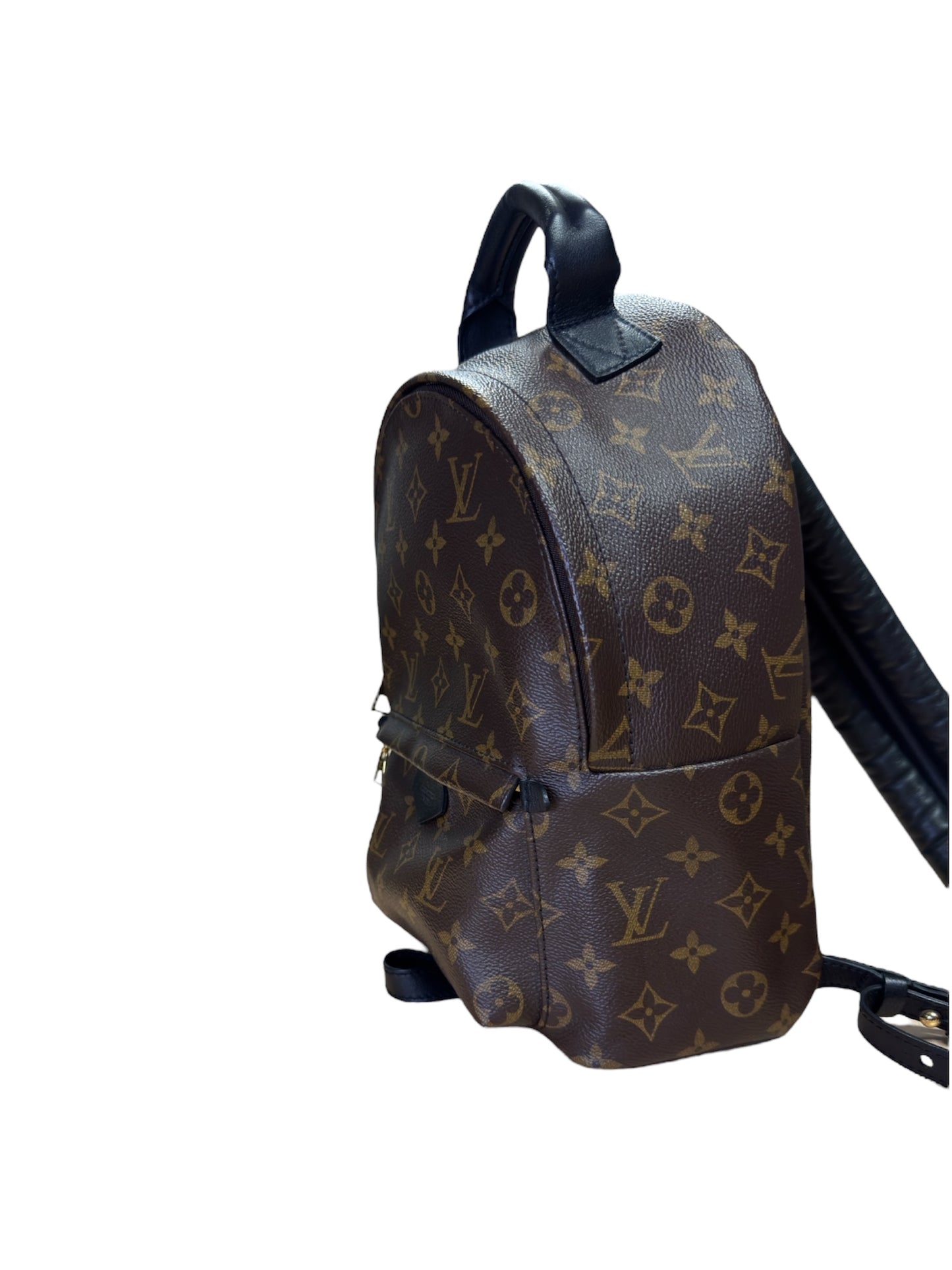 Louis Vuitton Palm Springs PM Backpack