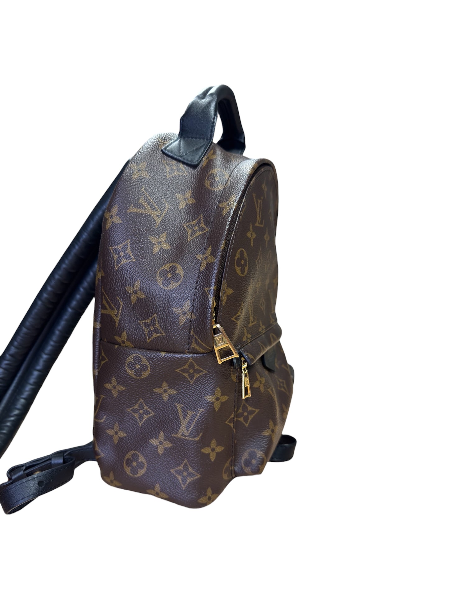 Louis Vuitton Palm Springs PM Backpack