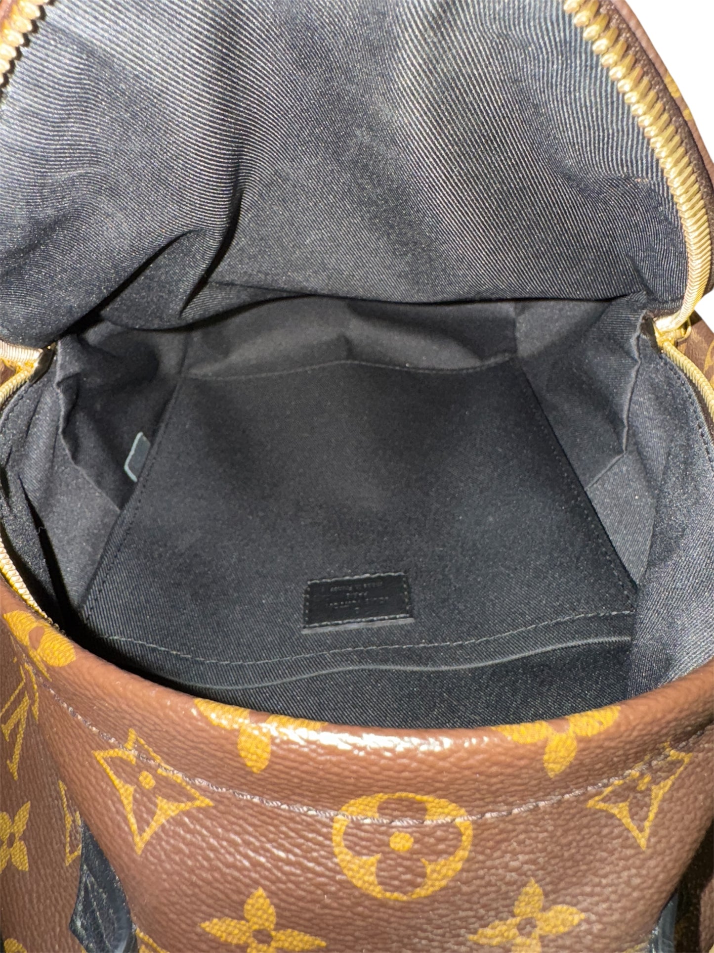 Louis Vuitton Palm Springs PM Backpack