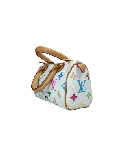 Louis Vuitton Multicolour Nano Speedy