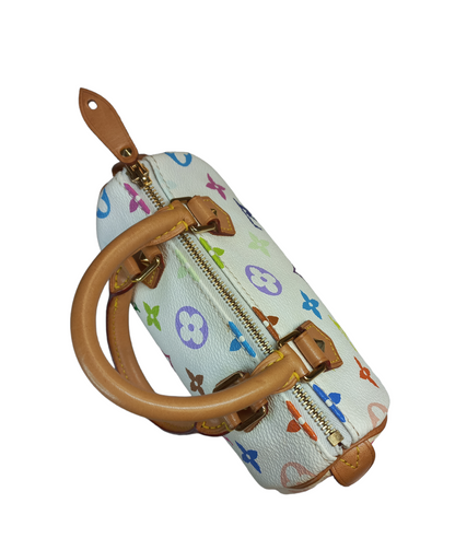 Louis Vuitton Multicolour Nano Speedy