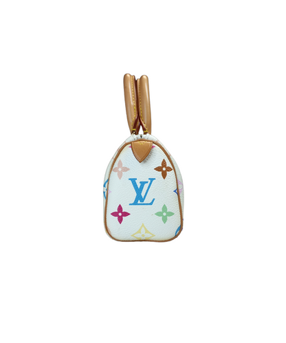 Louis Vuitton Multicolour Nano Speedy