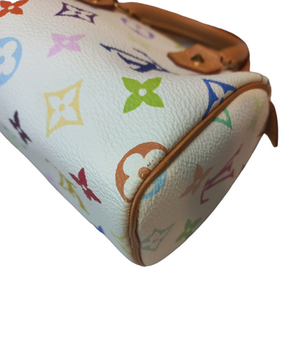 Louis Vuitton Multicolour Nano Speedy