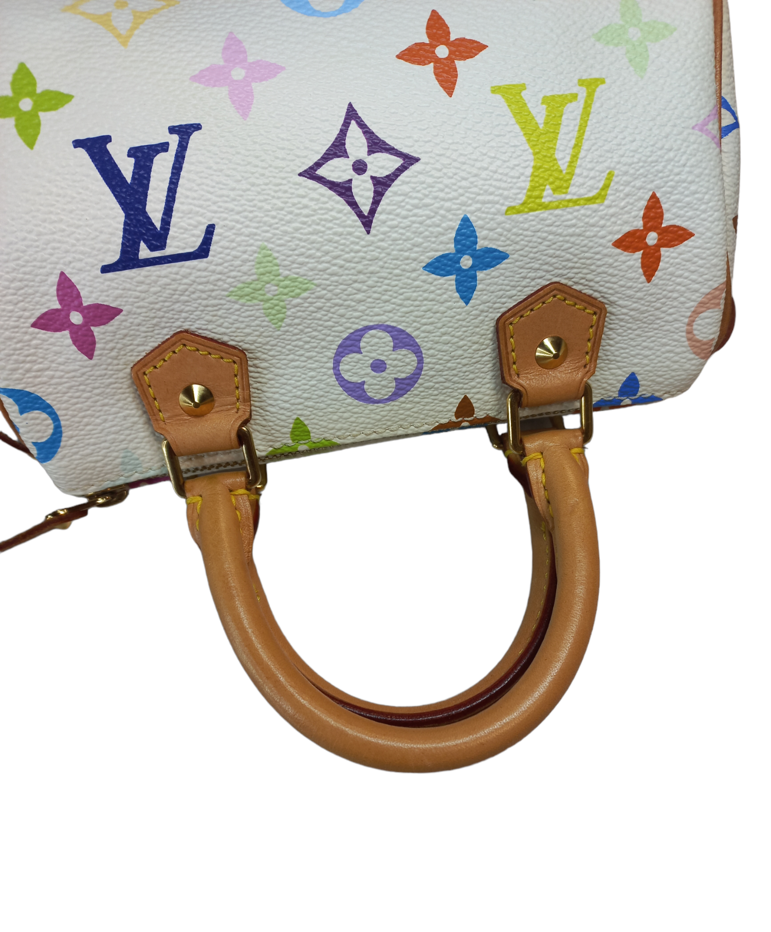 Louis Vuitton Multicolour Mini Speedy – Mastro Luxe South Africa