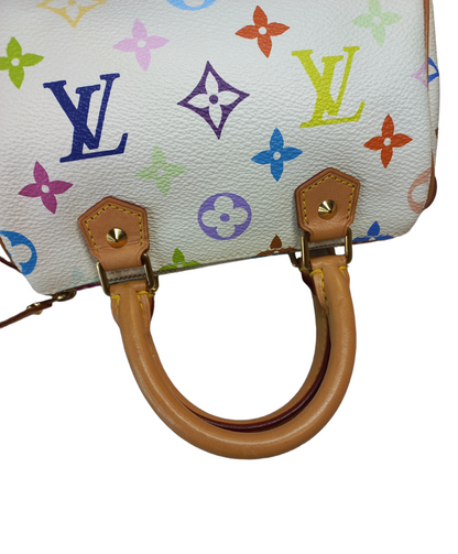 Louis Vuitton Multicolour Nano Speedy