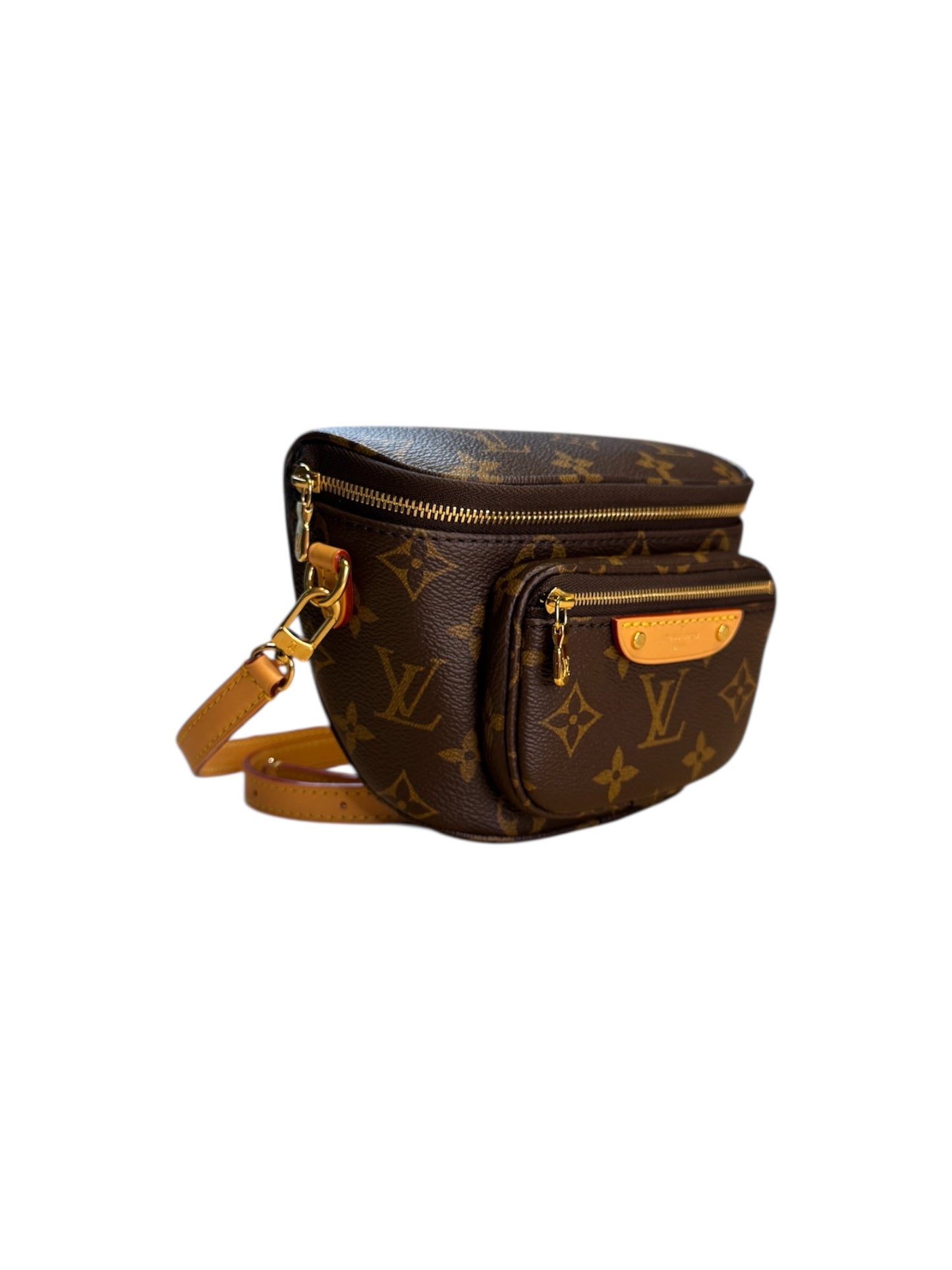 Louis Vuitton Mini Bumbag